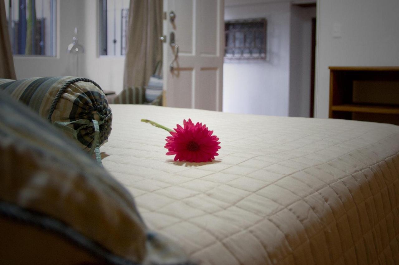 Hotel Ave Del Paraiso サンホセ エクステリア 写真